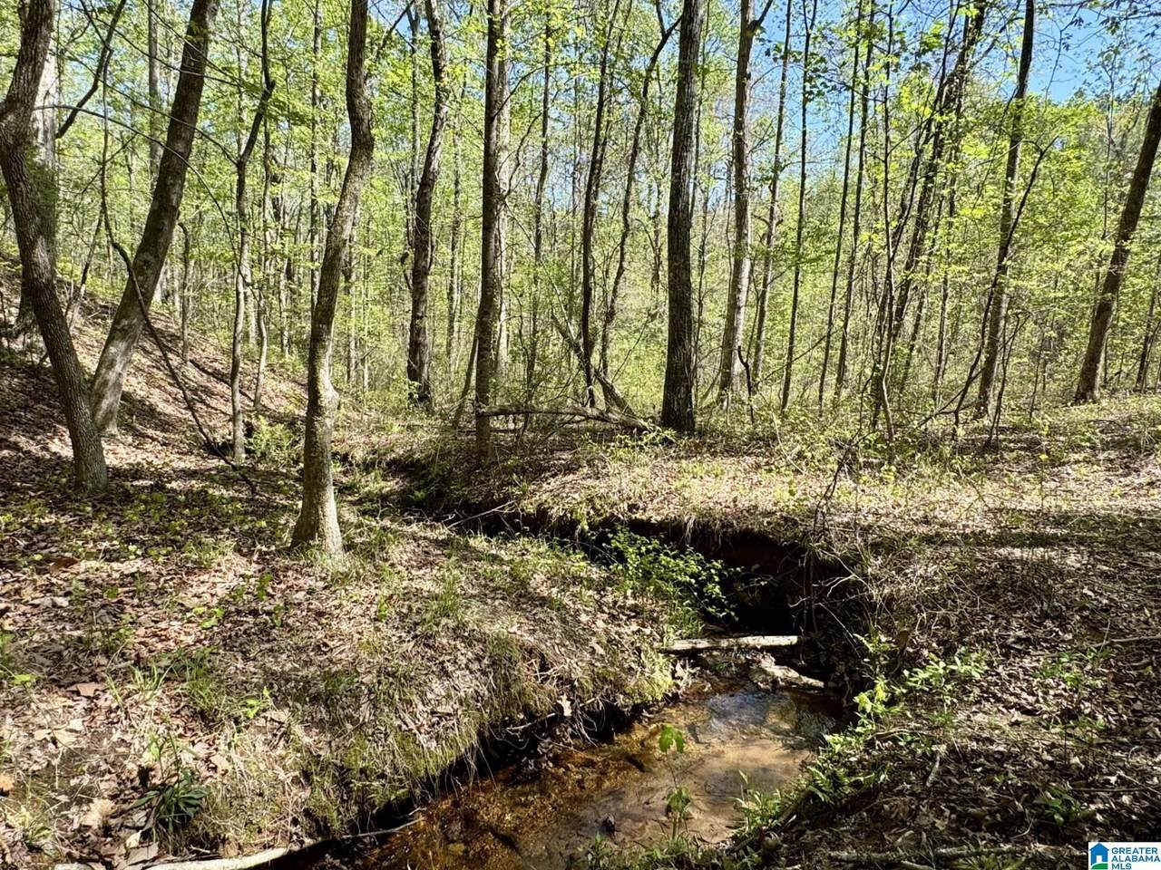 Tract 2 County Road 268 - Photo 1