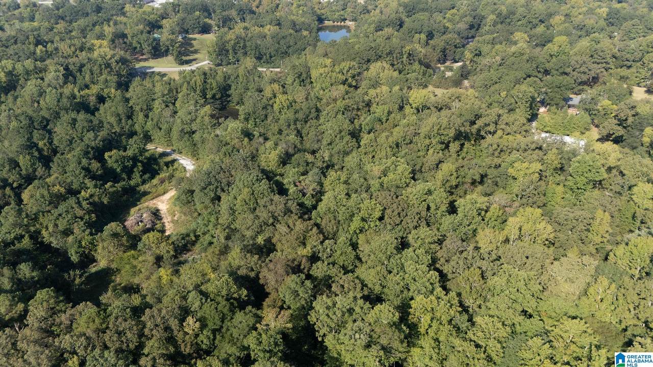 0 Magnolia Circle - Photo 1