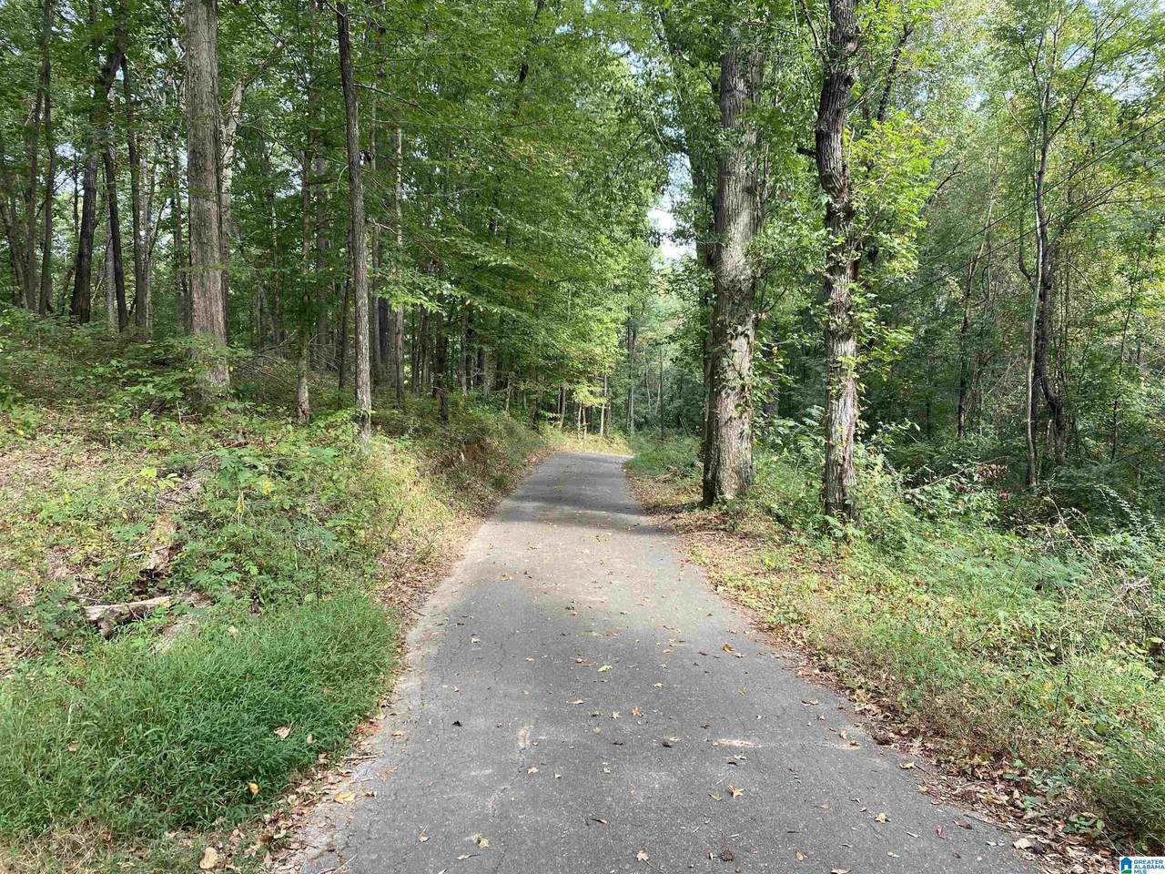 180 Peach Street - Photo 1