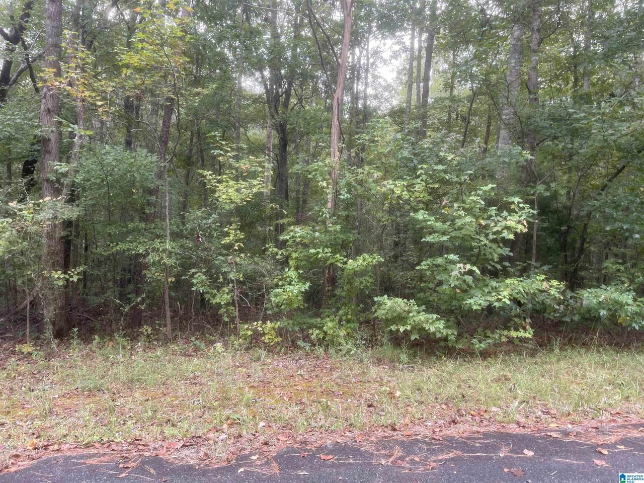 6359 Sagewood Circle - Photo 1