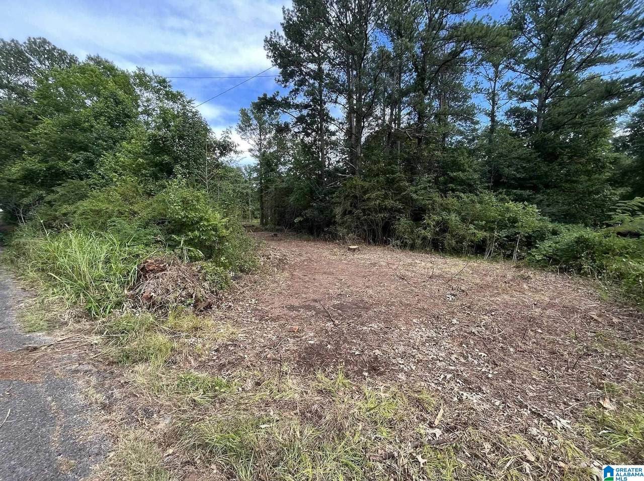 4021 Dusty Lane - Photo 1