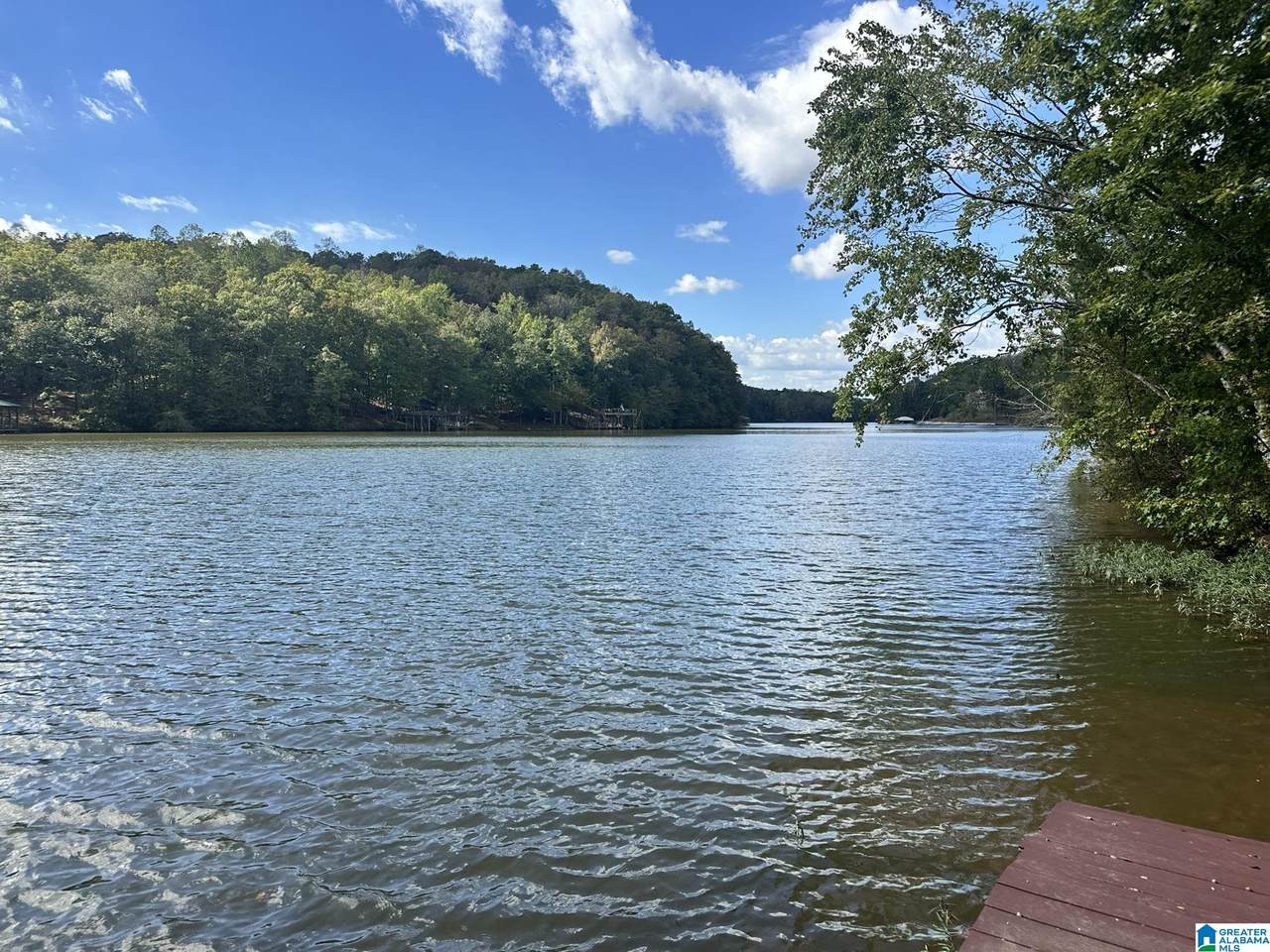 Lot 41 County Road 264 - Photo 1