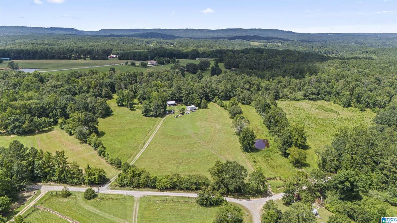 13AC County Road 501 - Photo 1