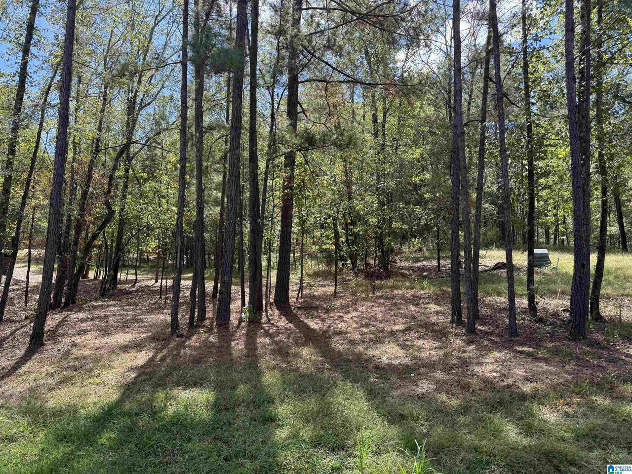 Lot3B Cabin Road - Photo 1