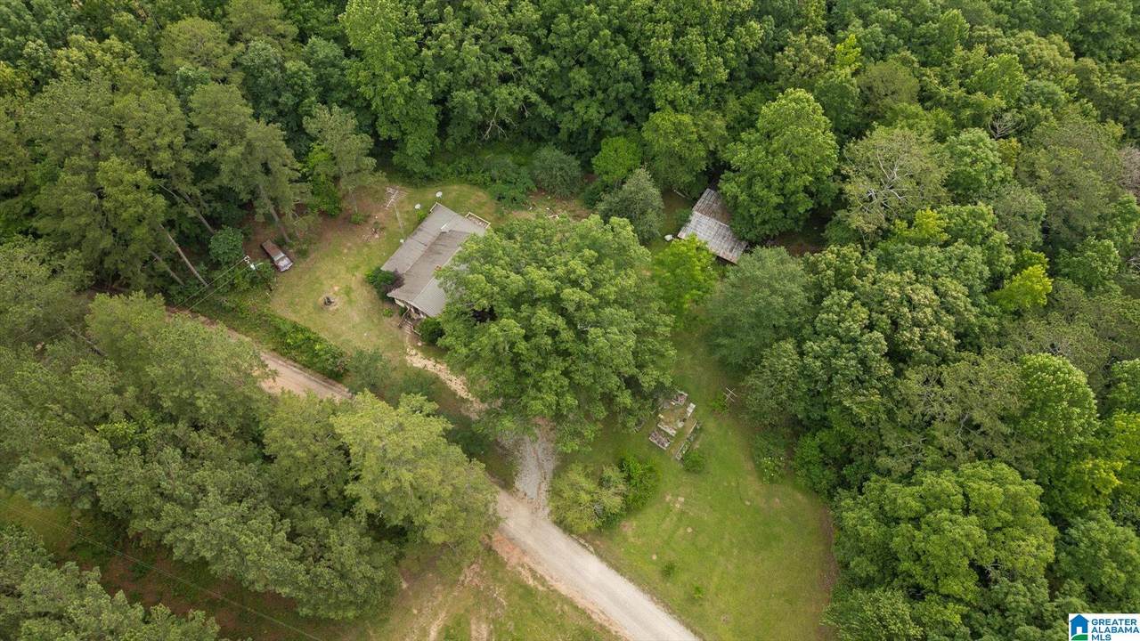 0 & 1279 County Road 459 - Photo 1