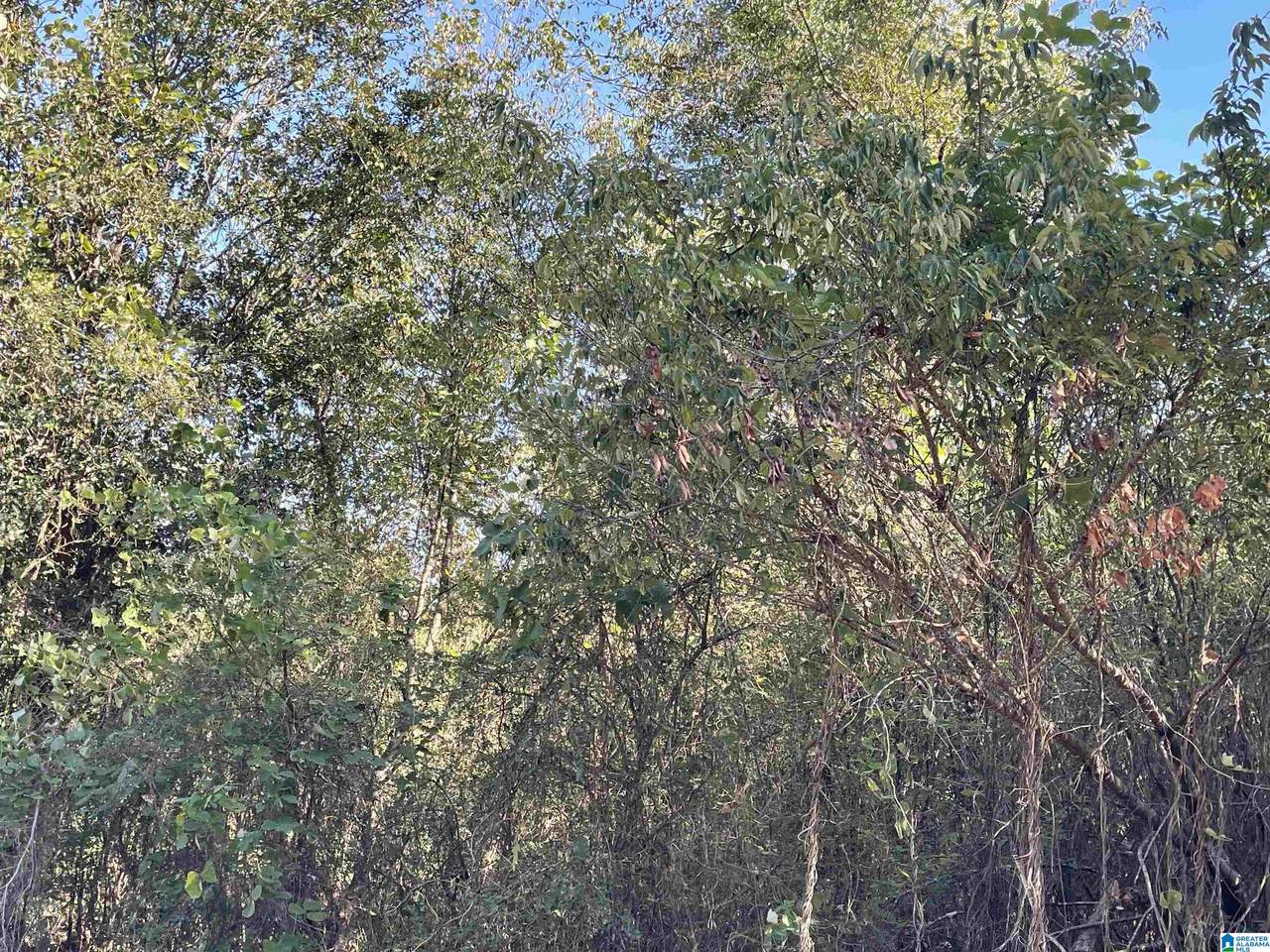 0 Howell Cove Road - Photo 1