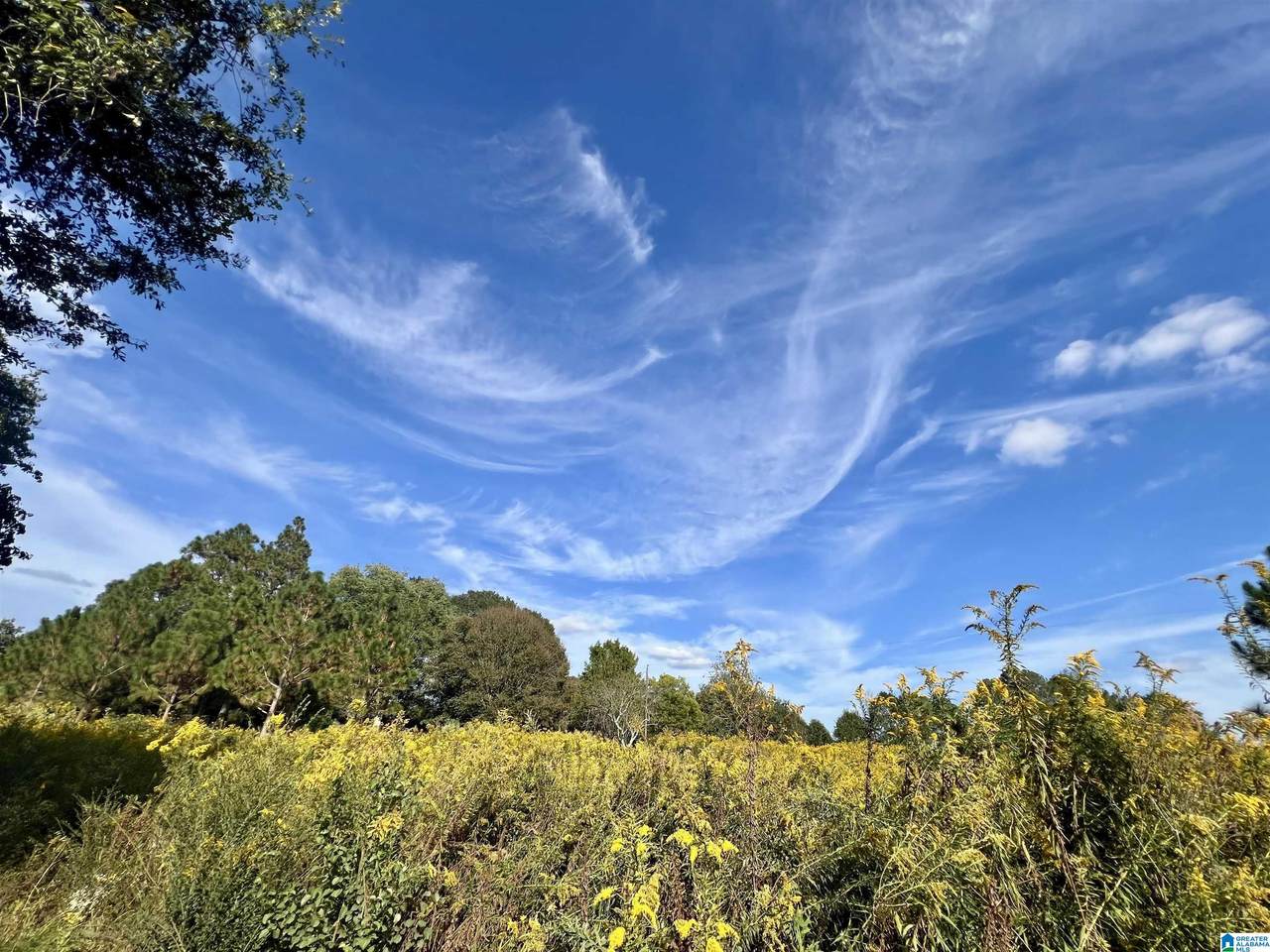 0 County Road 504 - Photo 1