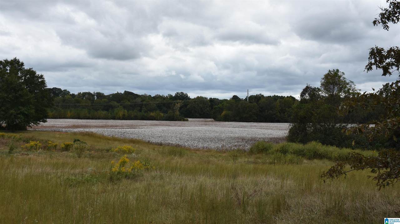 0 Tallasseehatchee Road - Photo 1