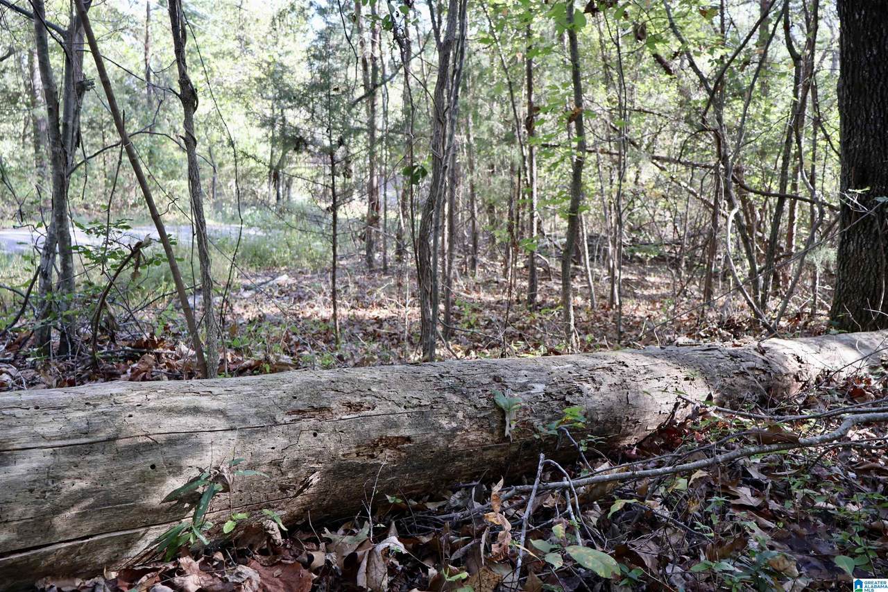 0 Woodhaven Drive - Photo 1