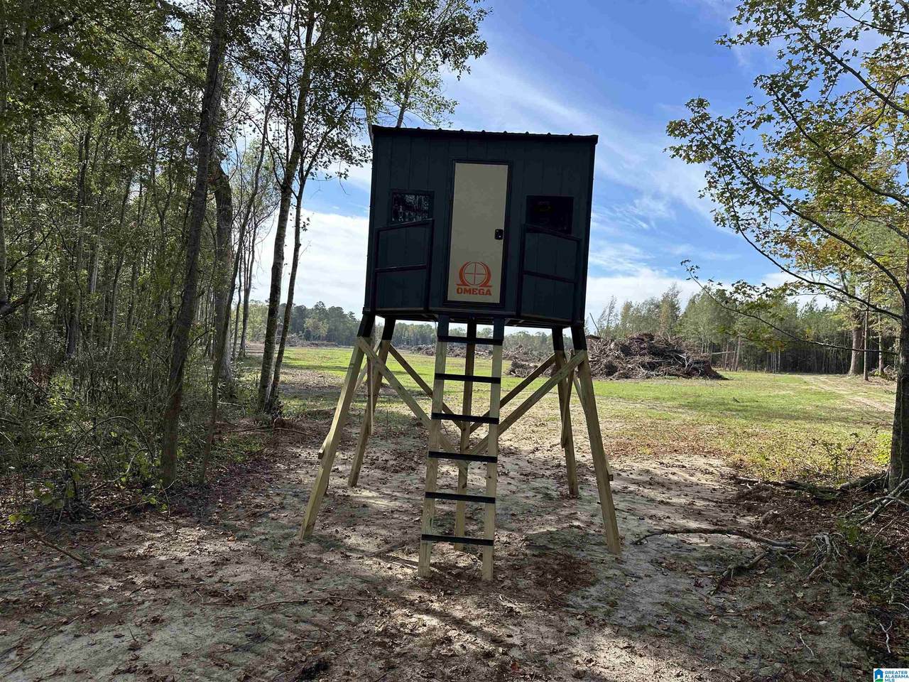 3265 County Road 53 - Photo 1