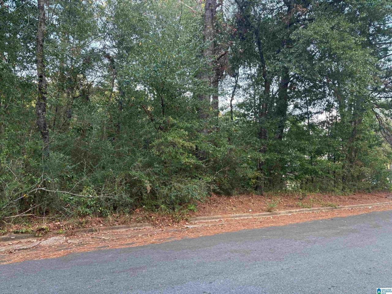 0 Sedgefield Drive - Photo 1