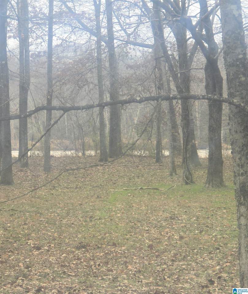  Cypress Point Drive - Photo 1