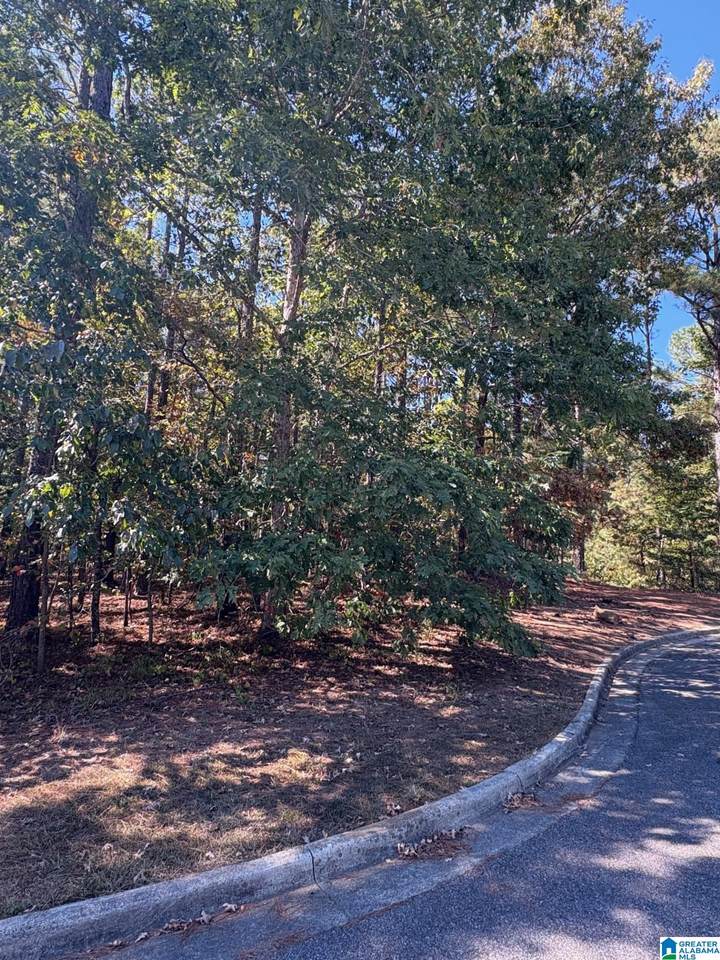 339 Alta Vista Drive - Photo 1