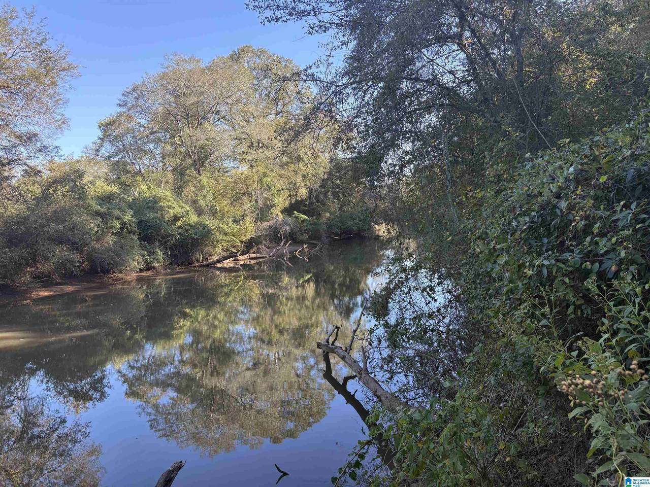 0 County Road 432 - Photo 1