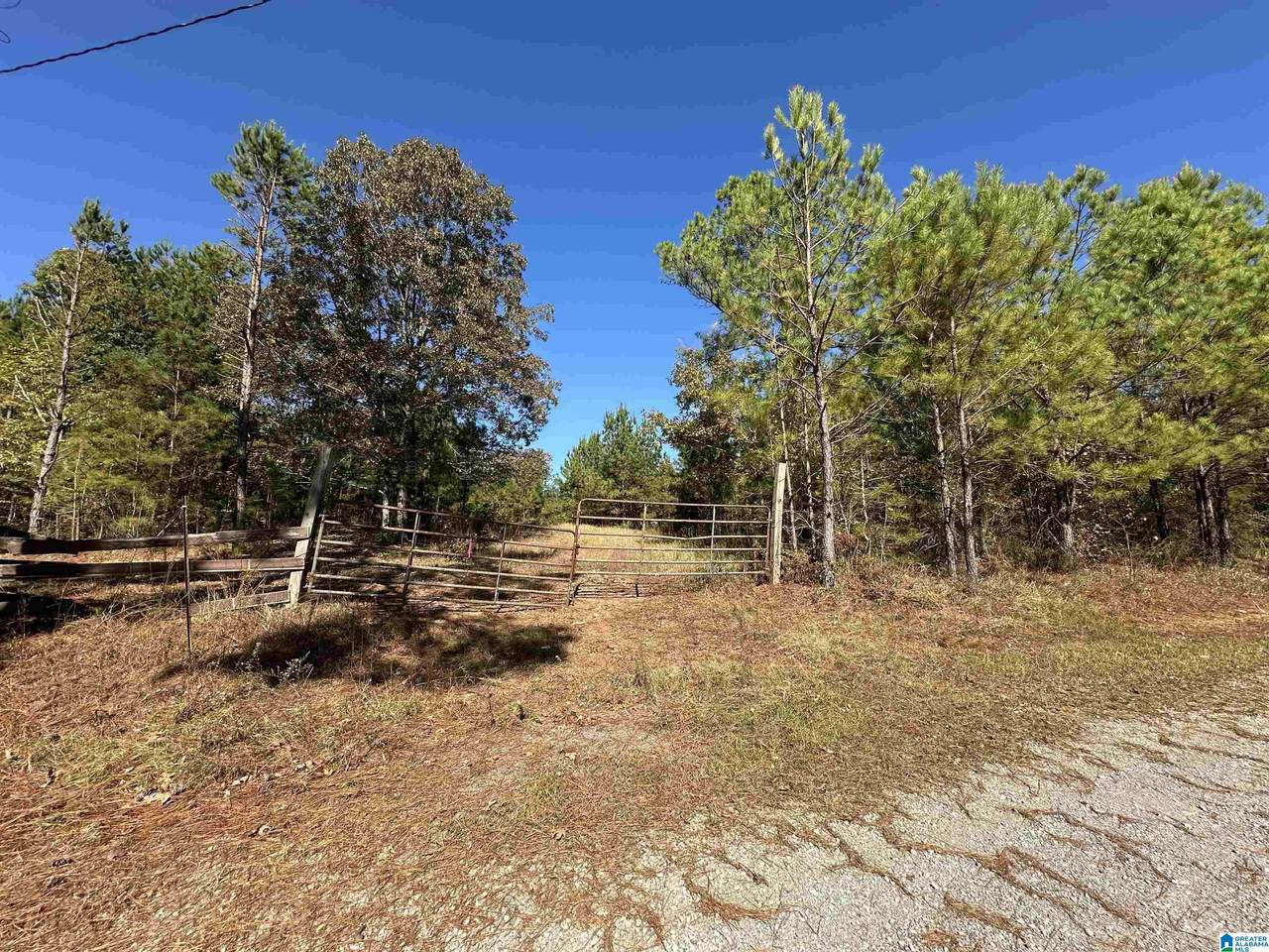 0 County Road 483 - Photo 1