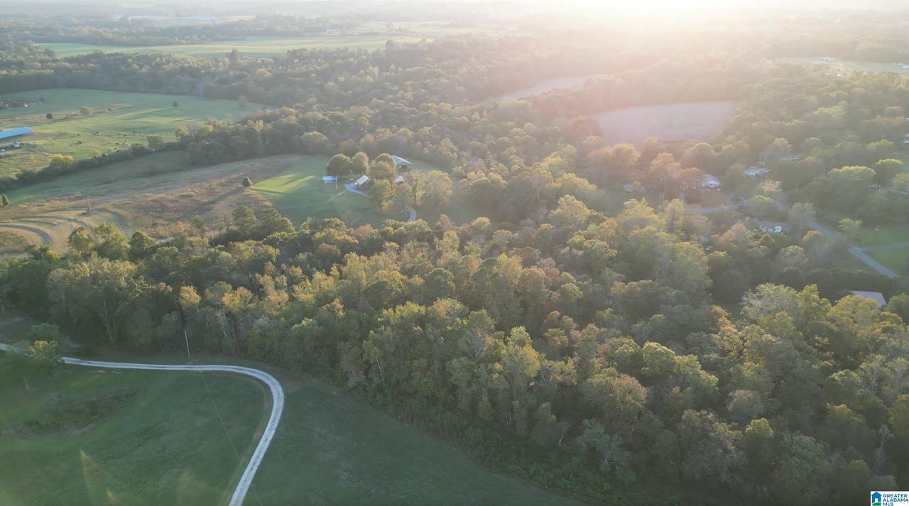 11000 County Road 27 - Photo 1