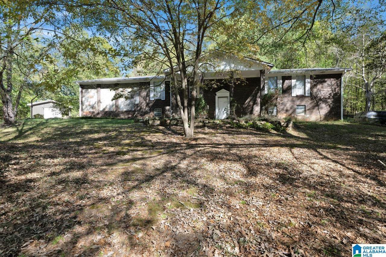 1366 Red Valley Road - Photo 1
