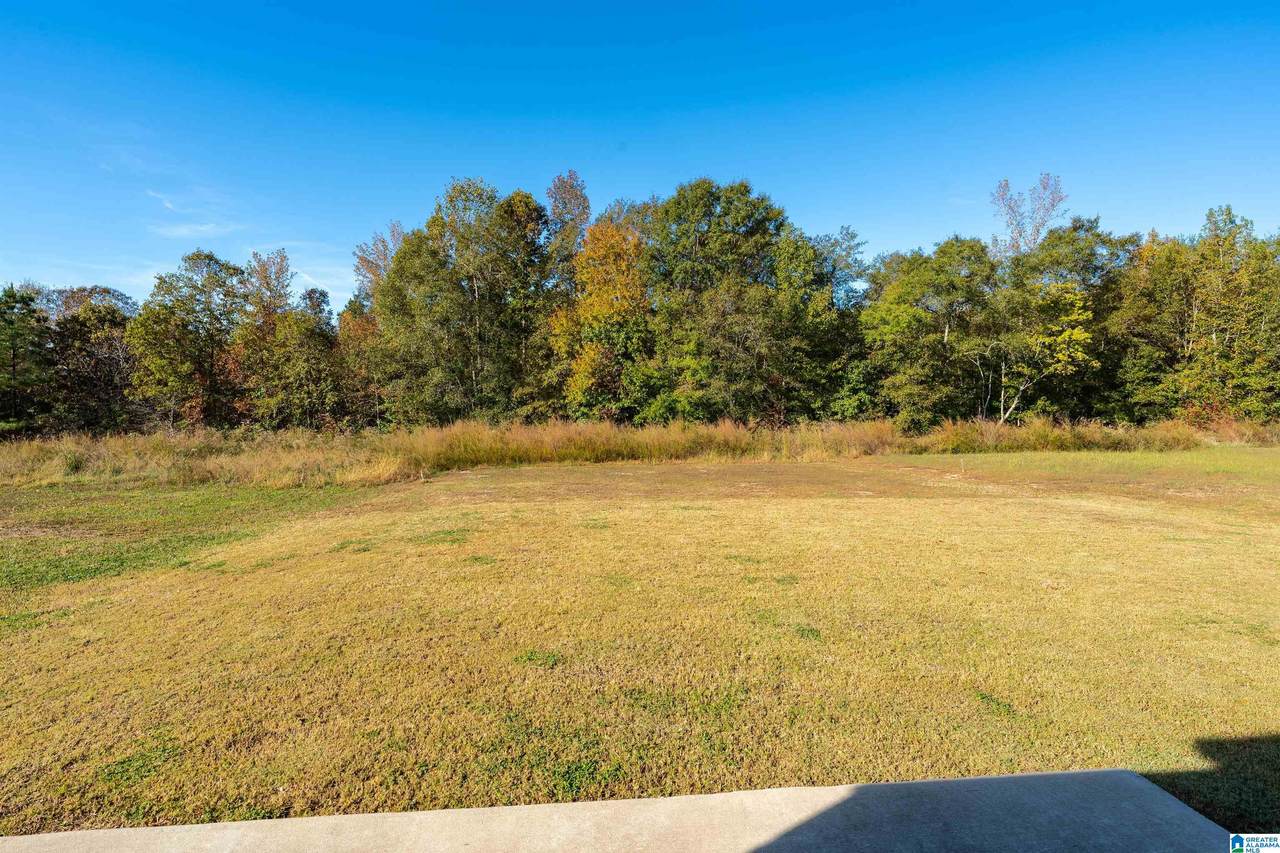 115 Sussex Road - Photo 1