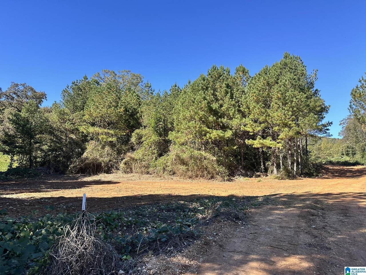 0 Rabbittown Road - Photo 1