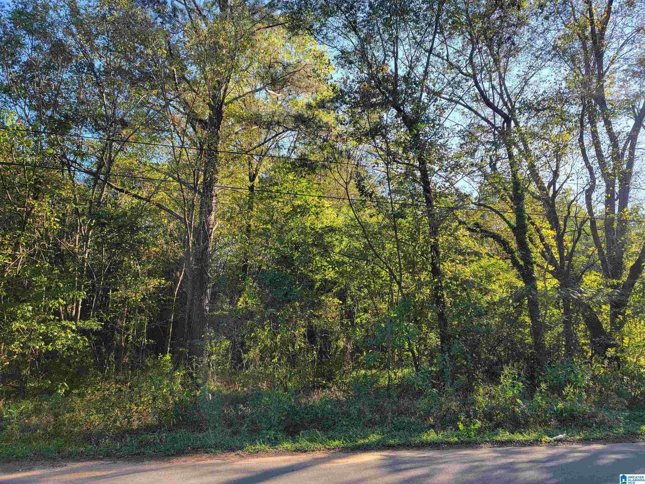 308 Pine Street - Photo 1