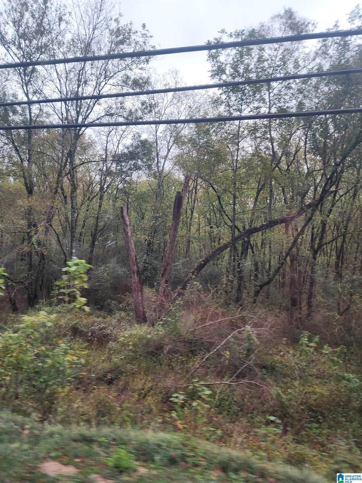 2241 Morgan Road - Photo 1