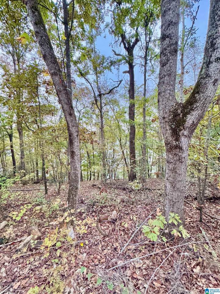 0 Kewanee Lane - Photo 1