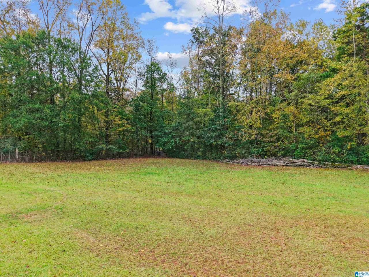 663 Park Avenue - Photo 1