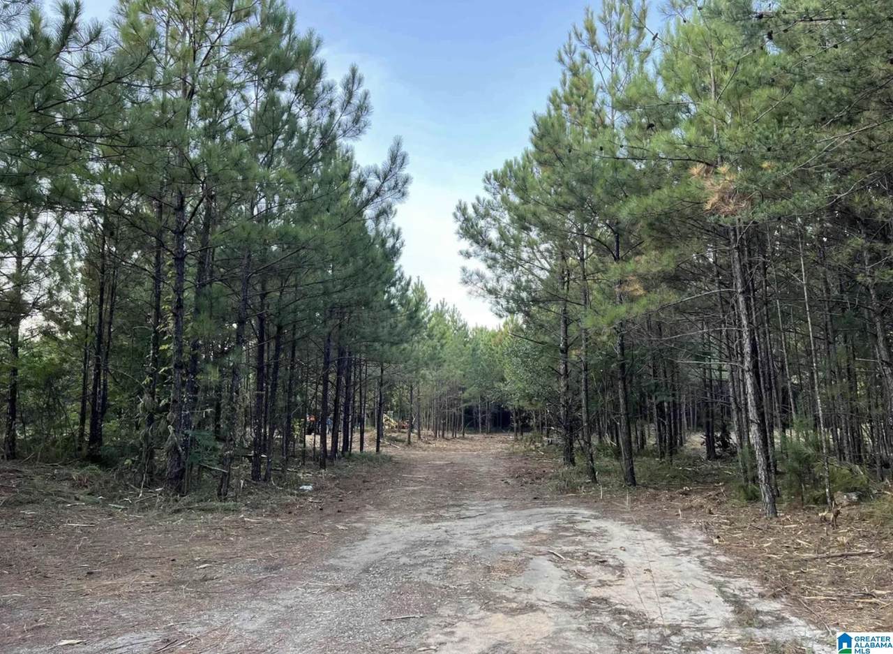 2210 Sweeney Hollow Road - Photo 1