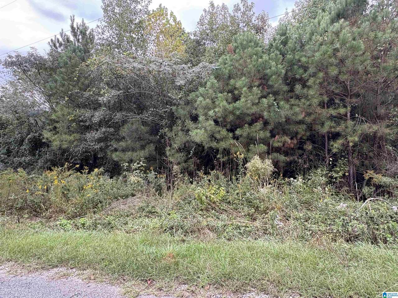 0 Lost Creek Circle - Photo 1