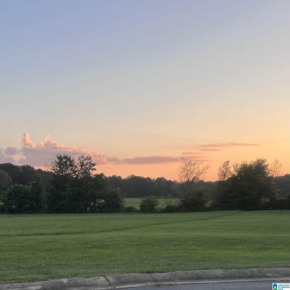 8436 Daniel Trail - Photo 1