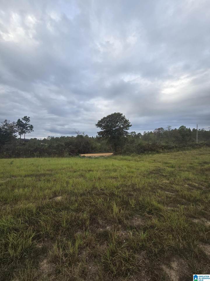 1089 County Road 351 - Photo 1