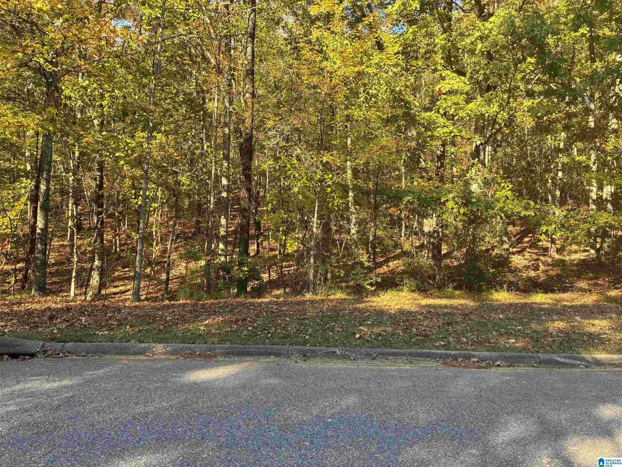 125 Highland View Drive - Photo 1