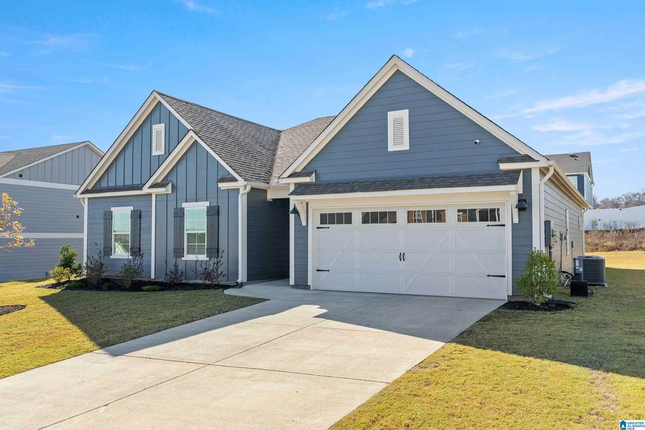 3020 Specklebelly Way - Photo 1