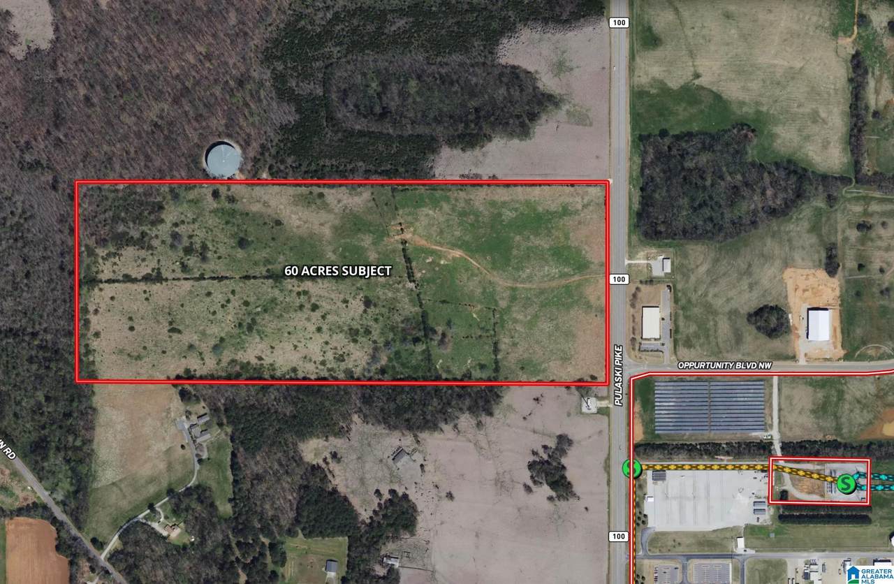 61 Acres Pulaski Pike - Photo 1