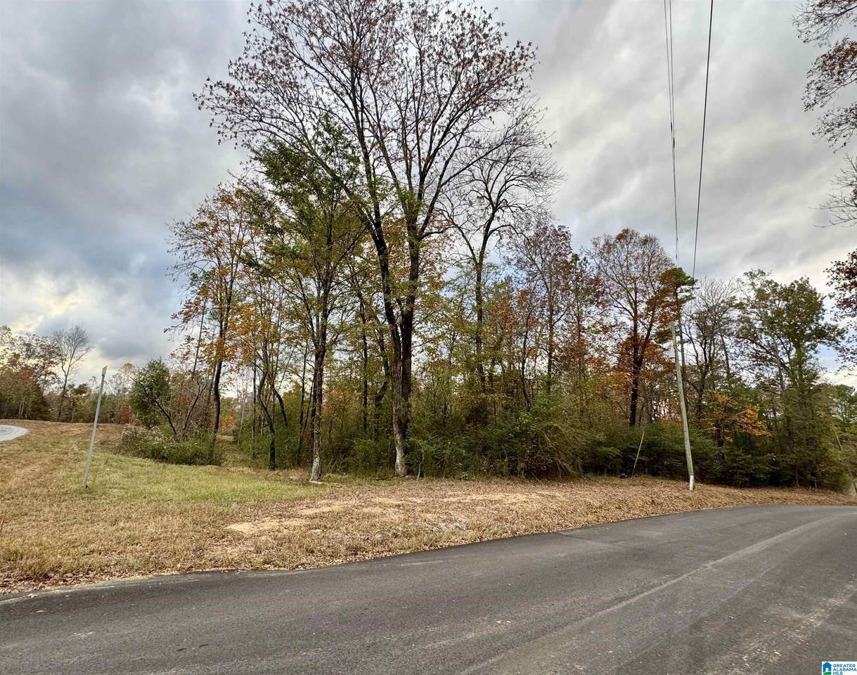 18920 Cattle Ranch Road - Photo 1