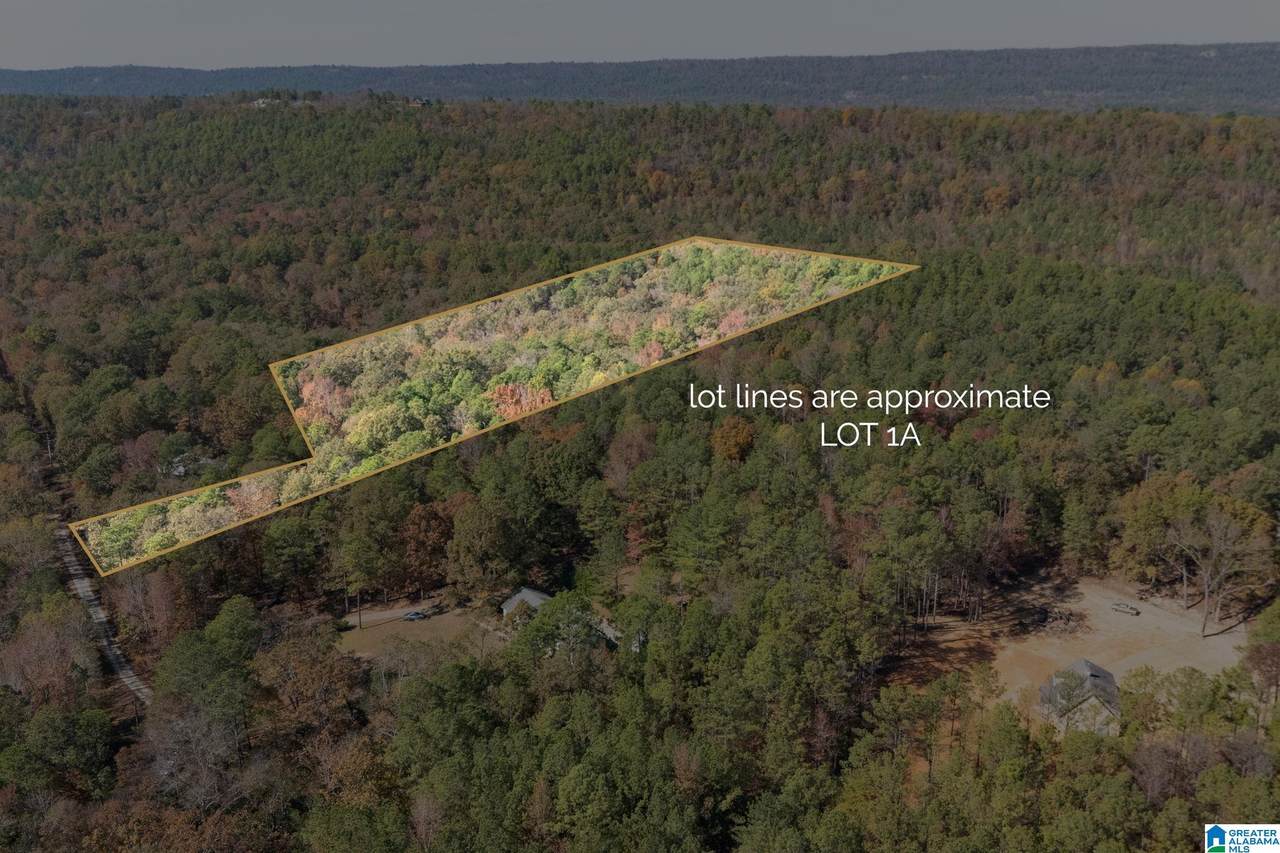 284 Nichols Road - Photo 1