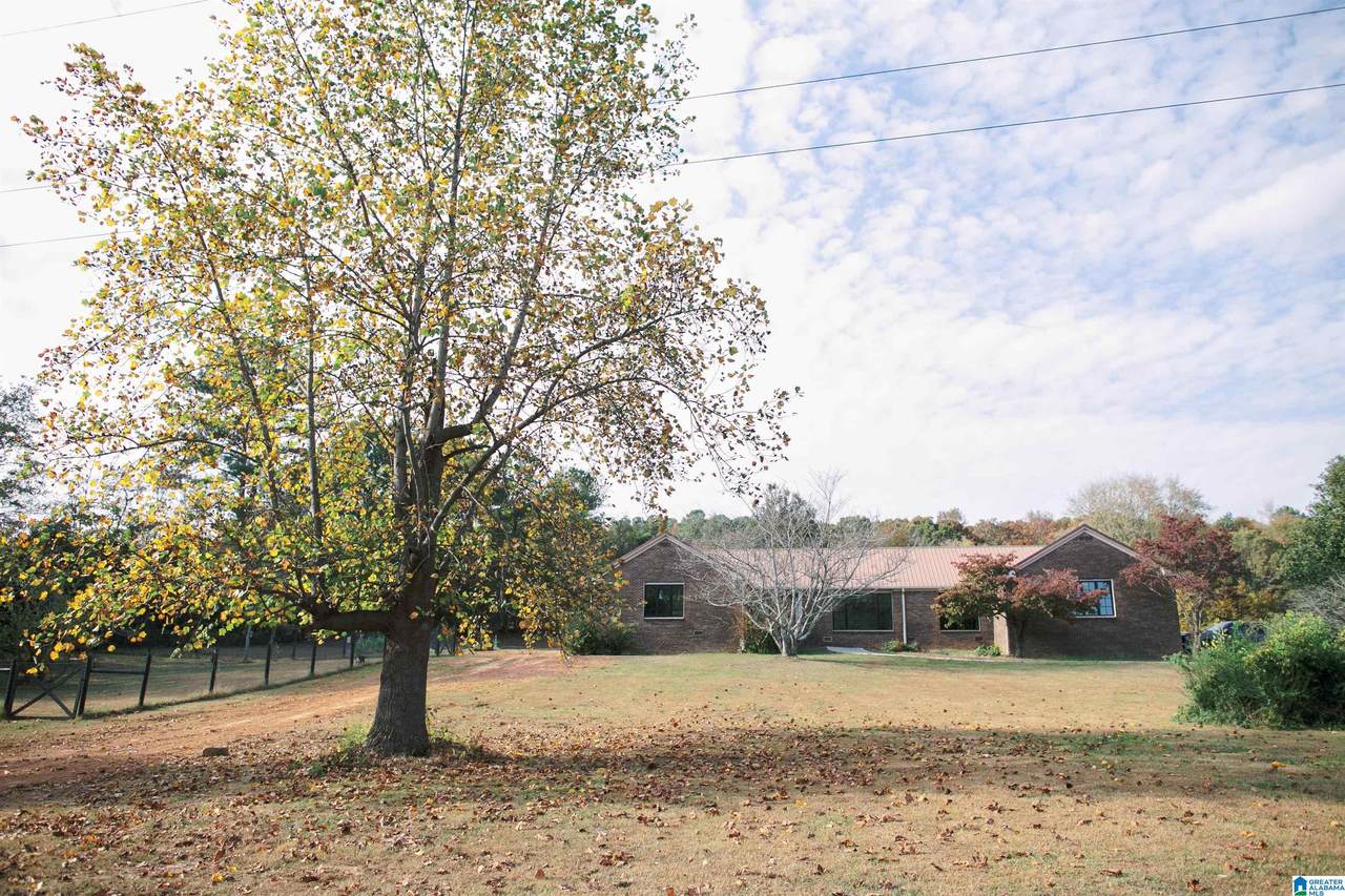 55101 Highway 79 - Photo 1