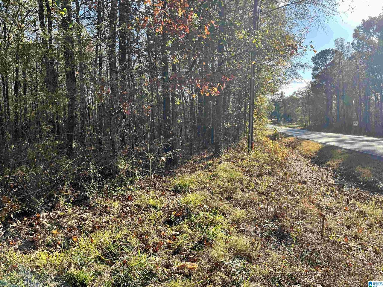 0 Old Coal City Road - Photo 1