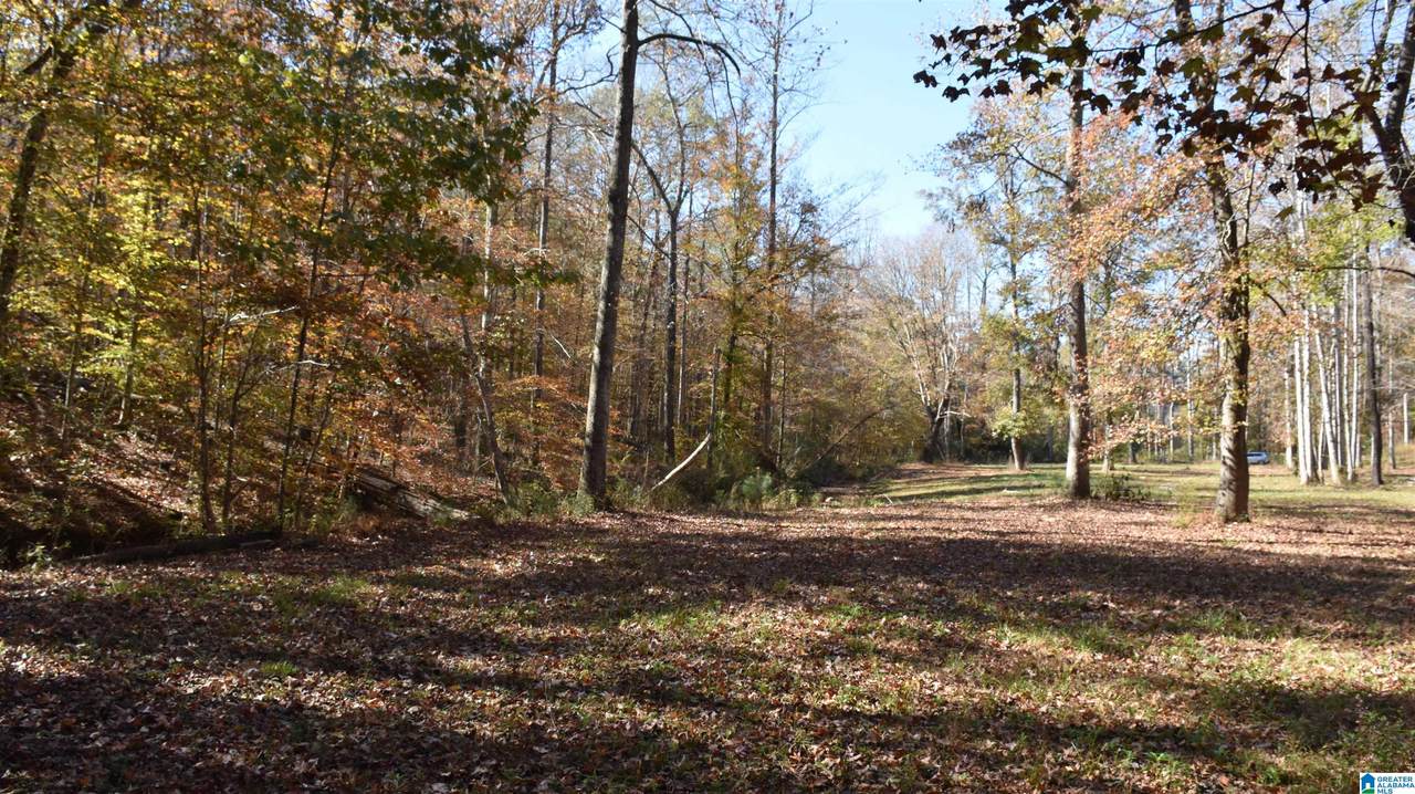 0 Creek Run - Photo 1