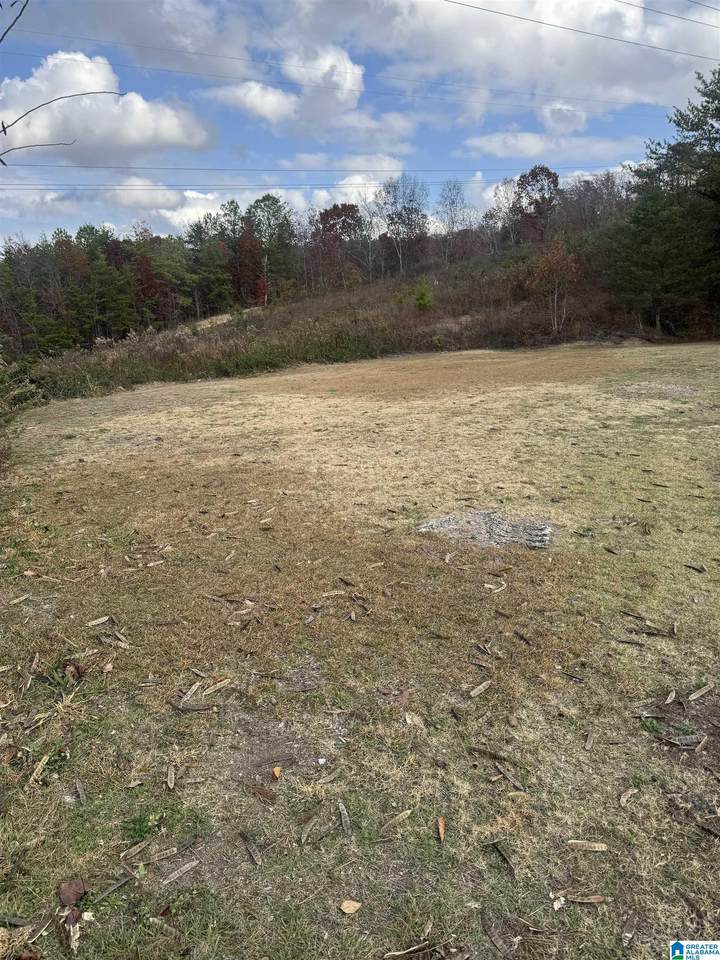 4329 Hathaway Lane - Photo 1