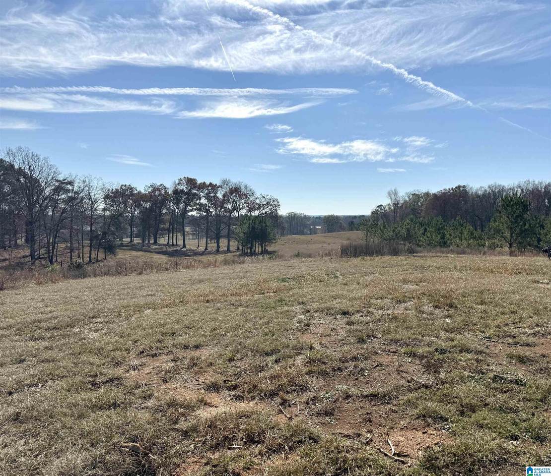 2884 Highway 47 - Photo 1