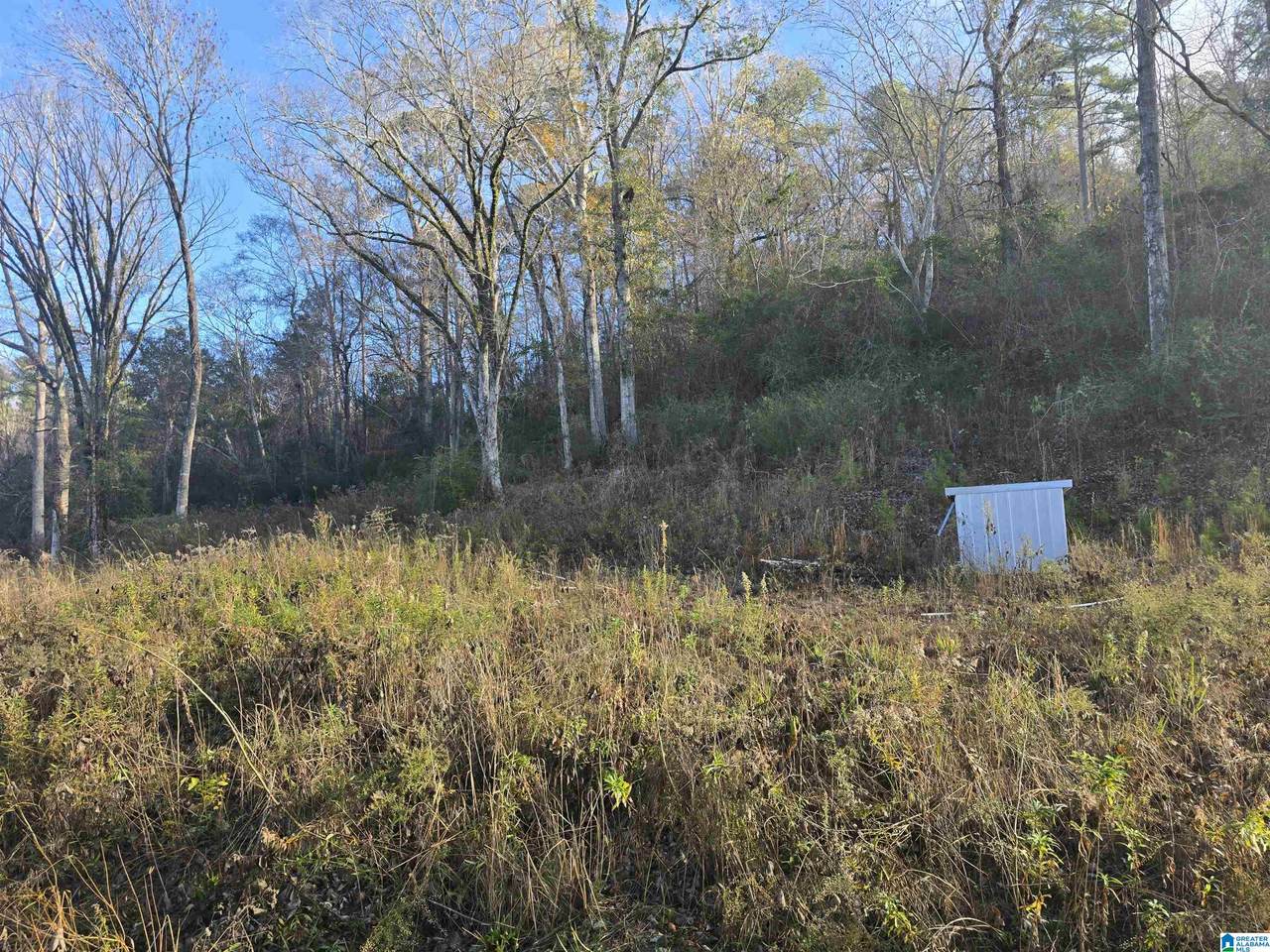 0000 County Road 110 - Photo 1