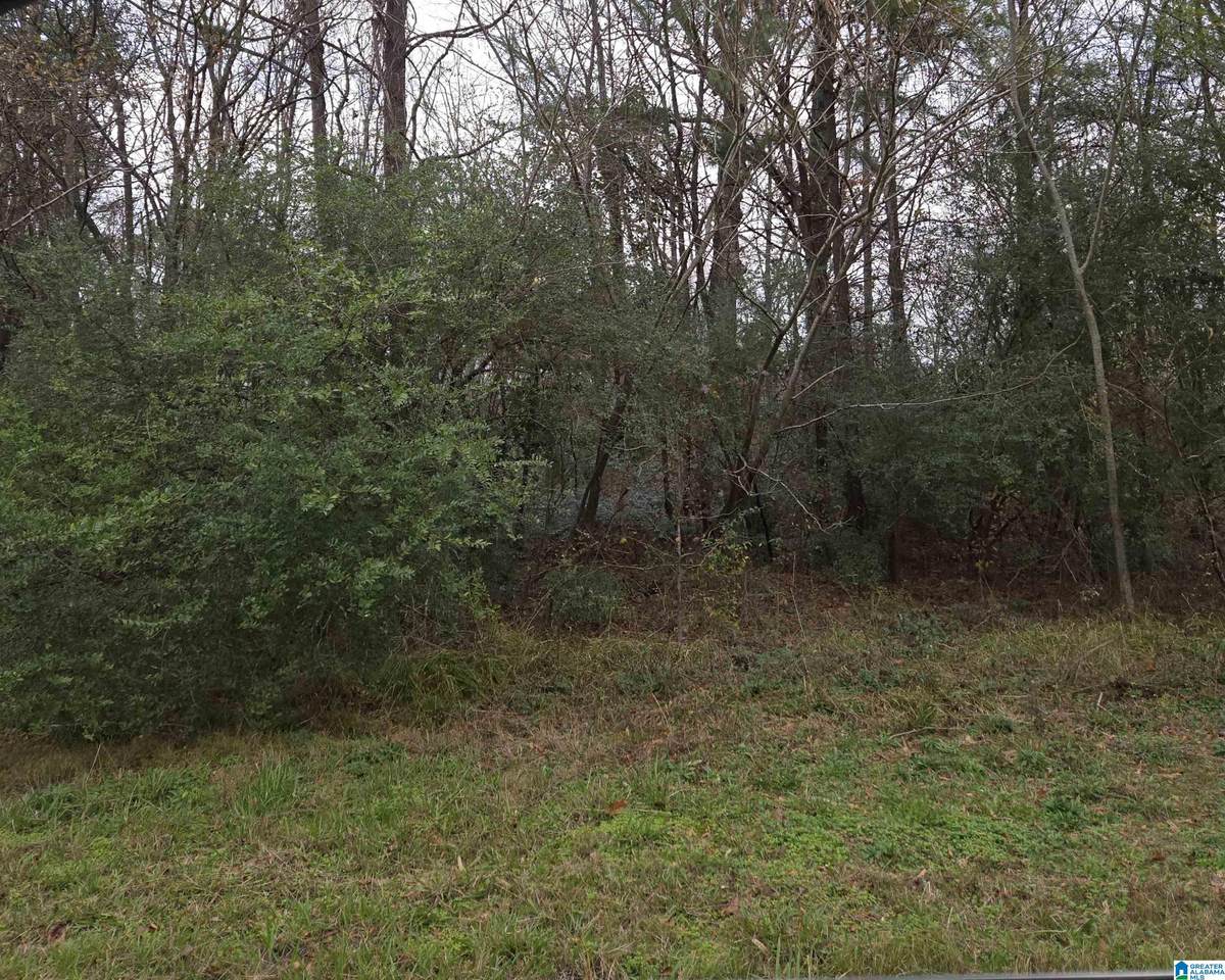 2151 Veterans Memorial Drive - Photo 1