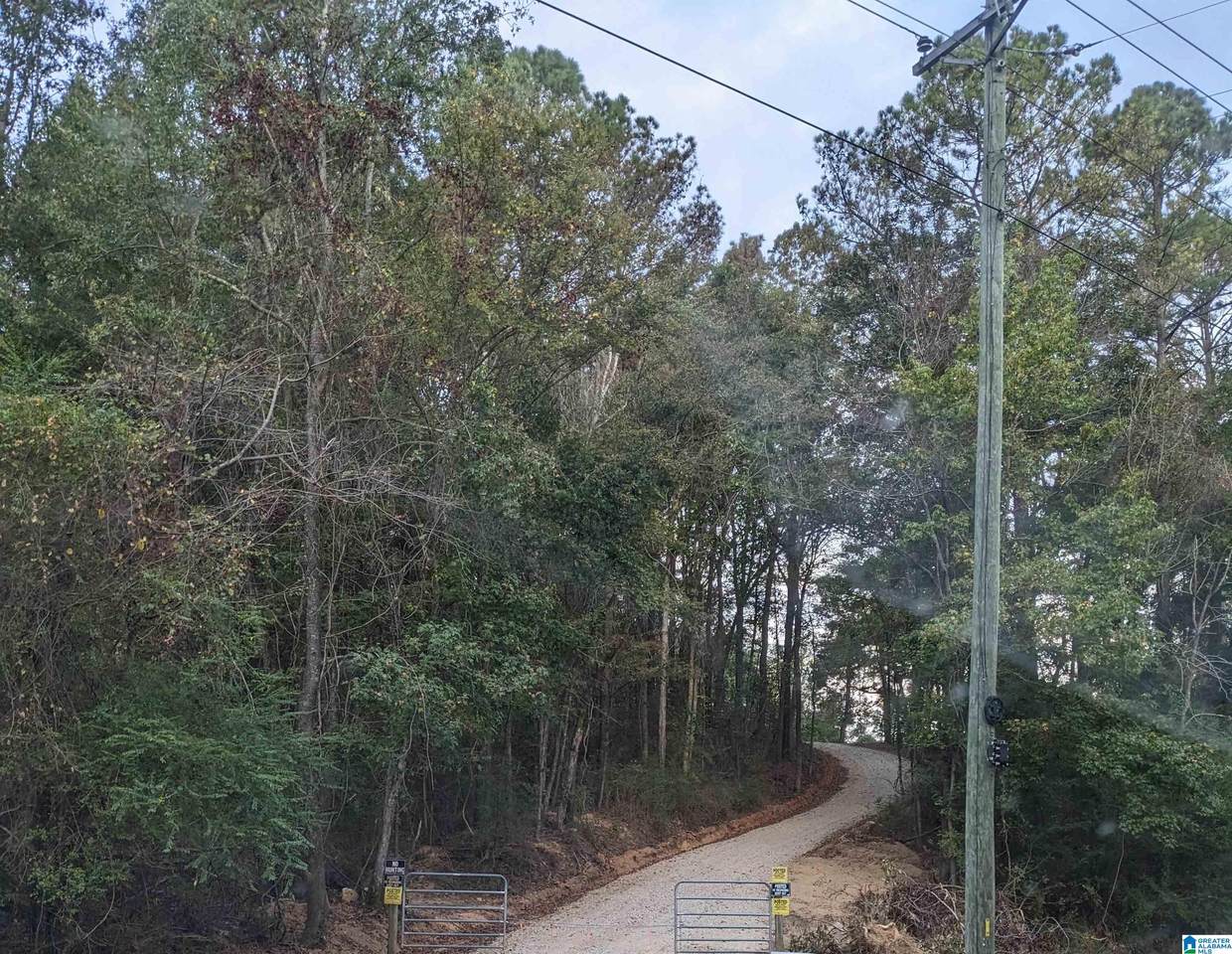 16091 Jackson Trace Road - Photo 1