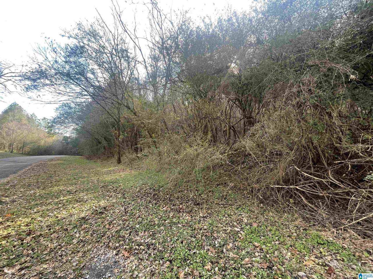 4380 Cherry Avenue - Photo 1