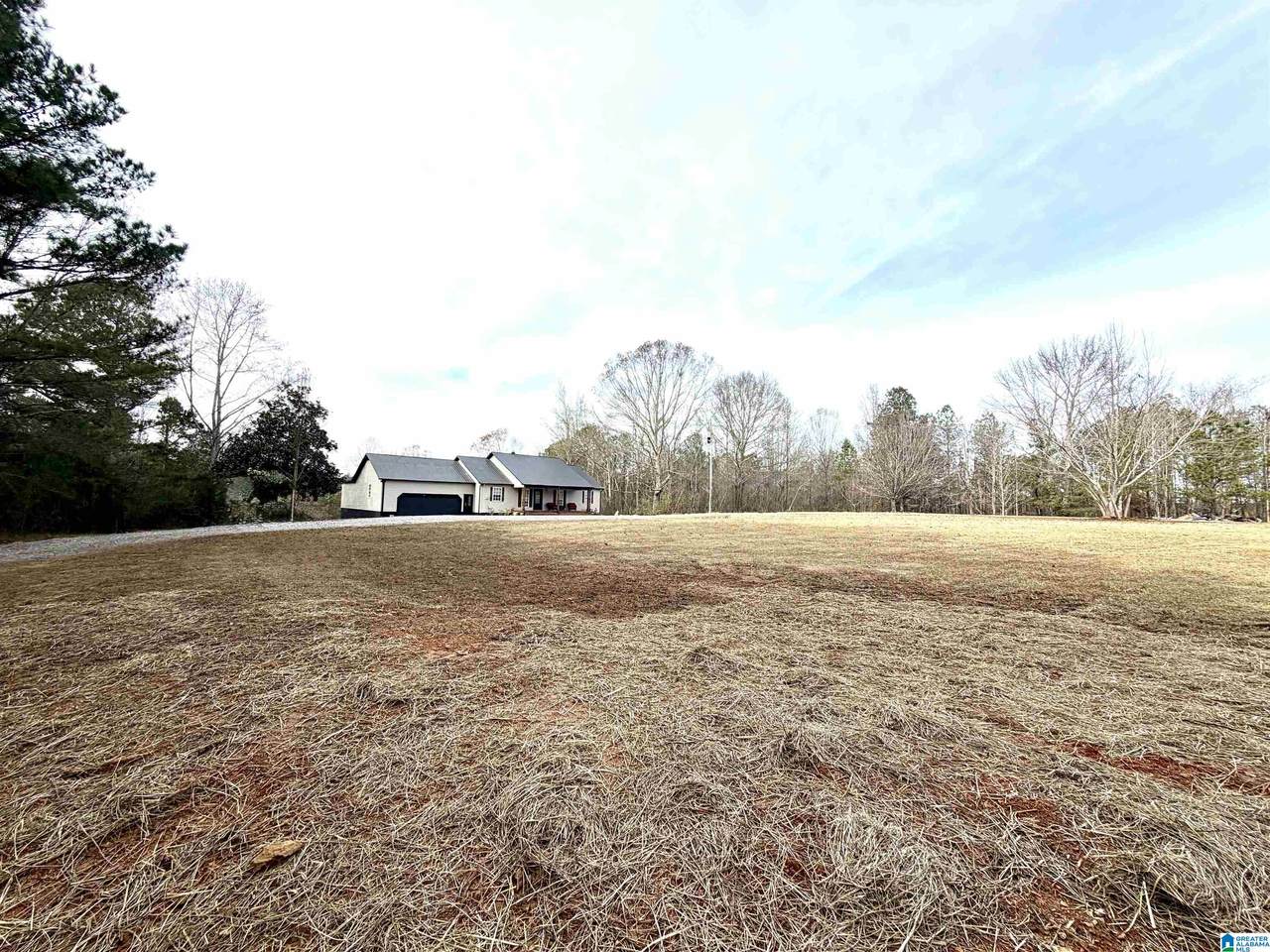 1315 Old Sheffield Gap Road - Photo 1