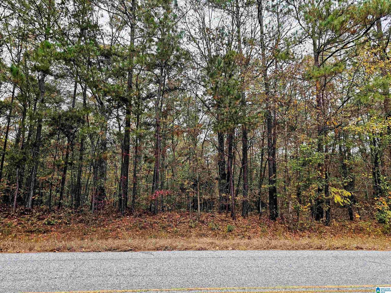 UNKN County Road 60 - Photo 1