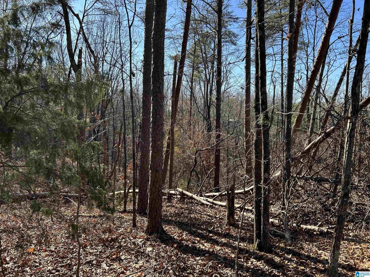 113 Highland Drive - Photo 1