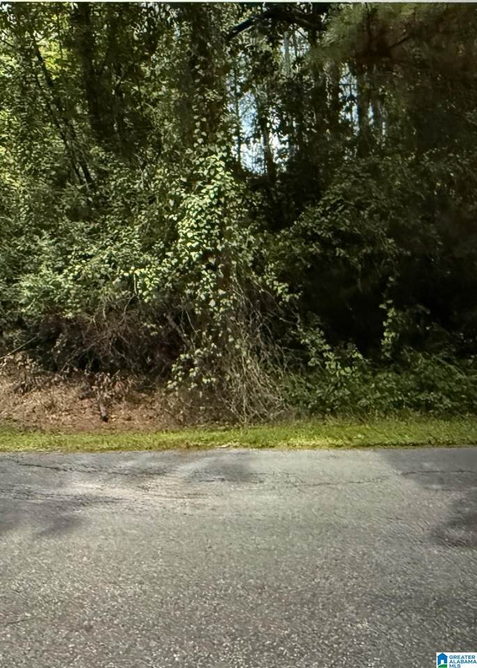 LOT 37 Woodside Street - Photo 1