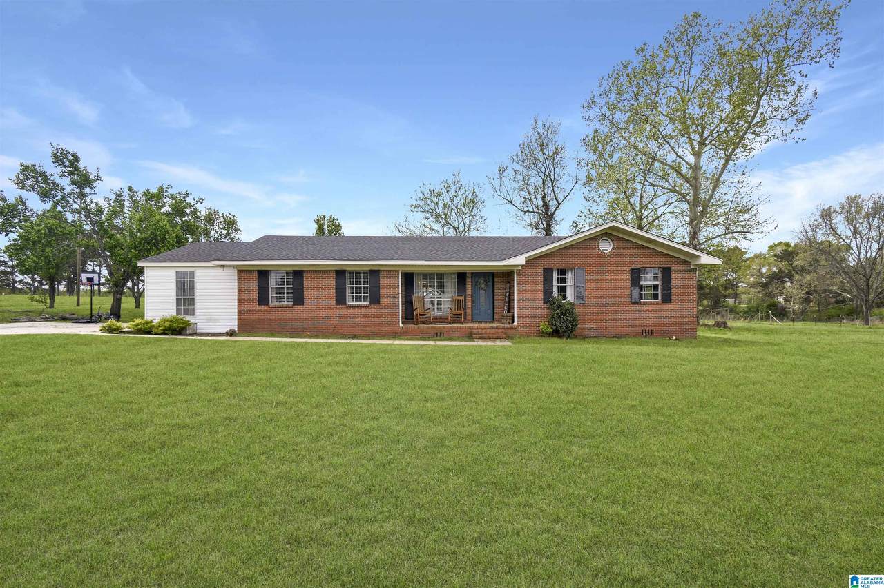 6062 County Road 50 - Photo 1